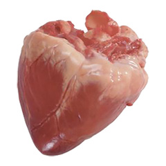 Pork heart ps 500x500 copy